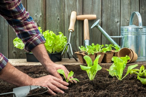 Community garden event in Hoxton with residents planting and collaborating.
