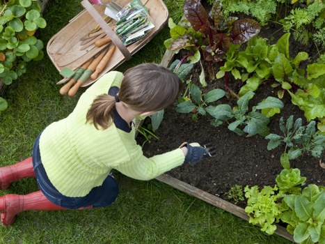 Hands using keyboard and a tablet to book garden services in Hoxton