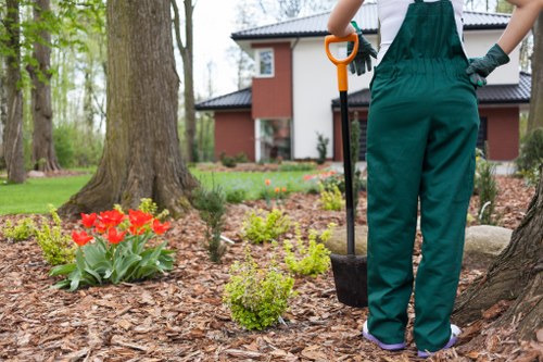 Gardener trimming hedges during spring in Hoxton